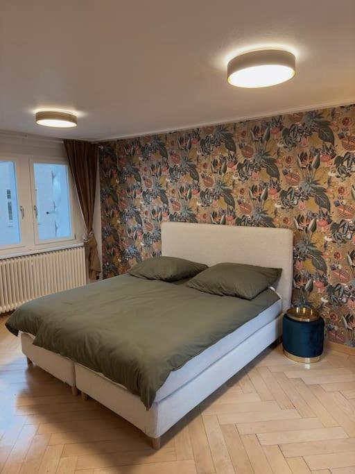 Suesse Wohnung In Zuercher Altstadt 3 Zürih Dış mekan fotoğraf